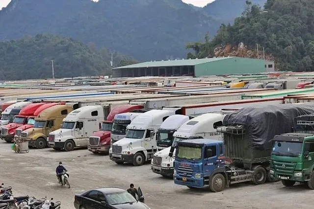 Nóng: Chính thức hoãn thi hành Nghị định 46